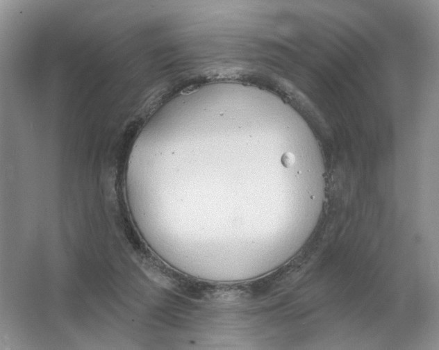 X0000063510209200602172155