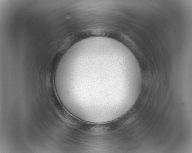 X0000063510213200602172155