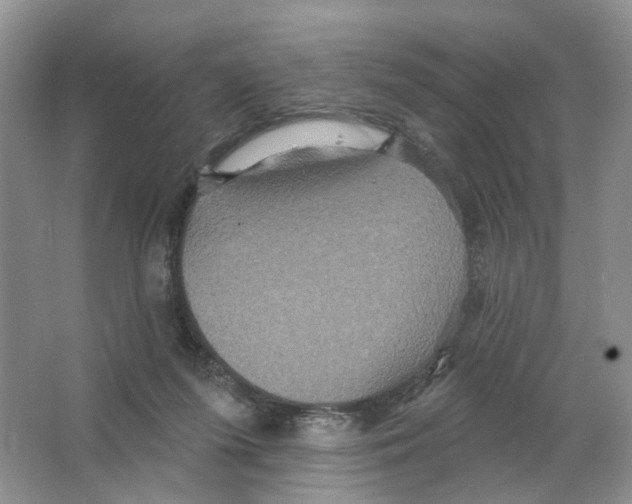 X0000063510215200602172155