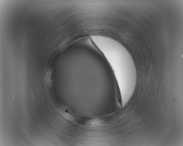 X0000063510219200602172155