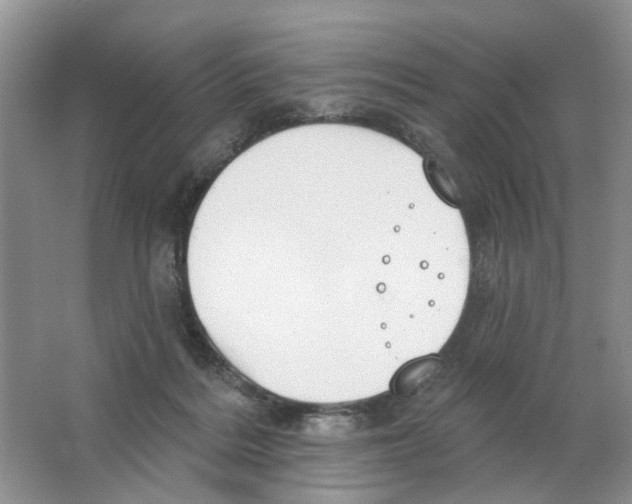 X0000063510220200602172155