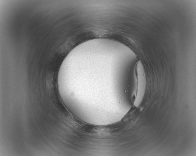 X0000063510221200602172155