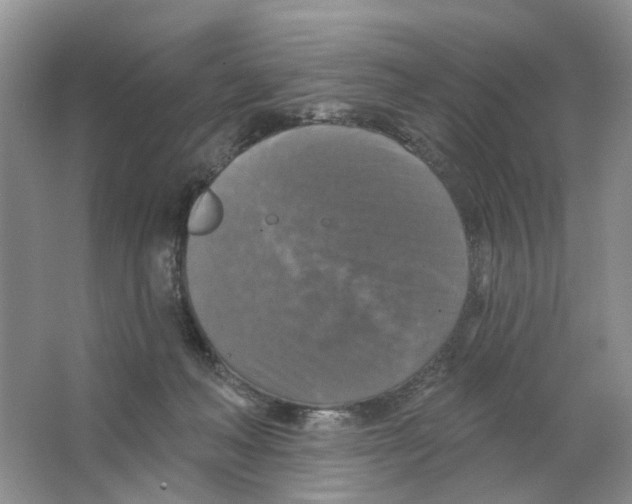 X0000063510222200602172155