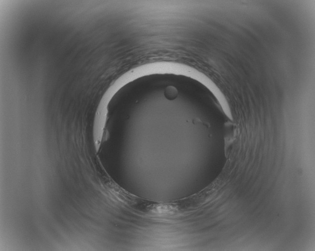 X0000063510223200602172155