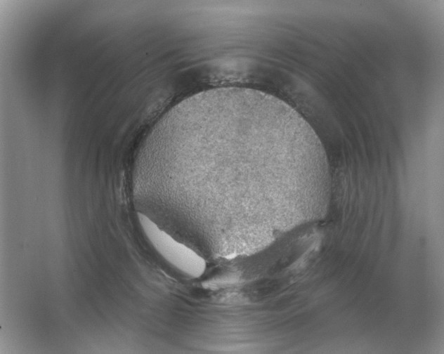 X0000063510224200602172155