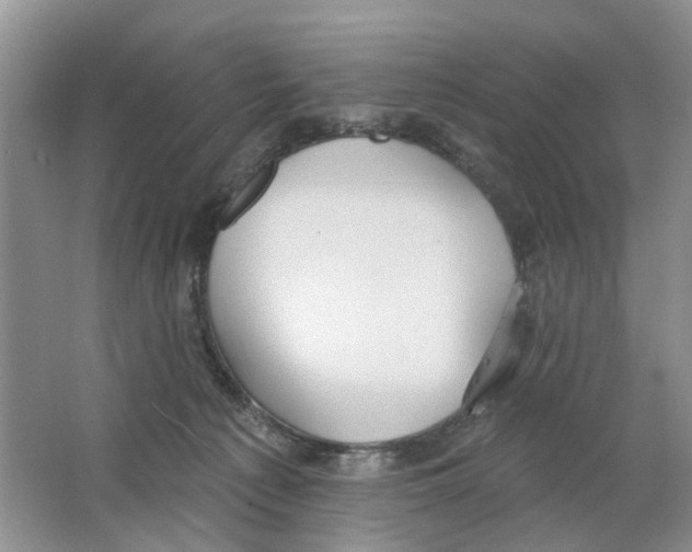 X0000063510225200602172155