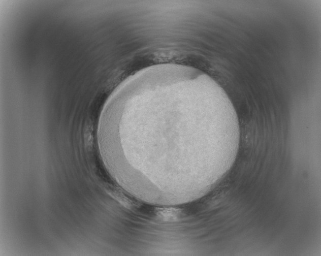 X0000063510226200602172155