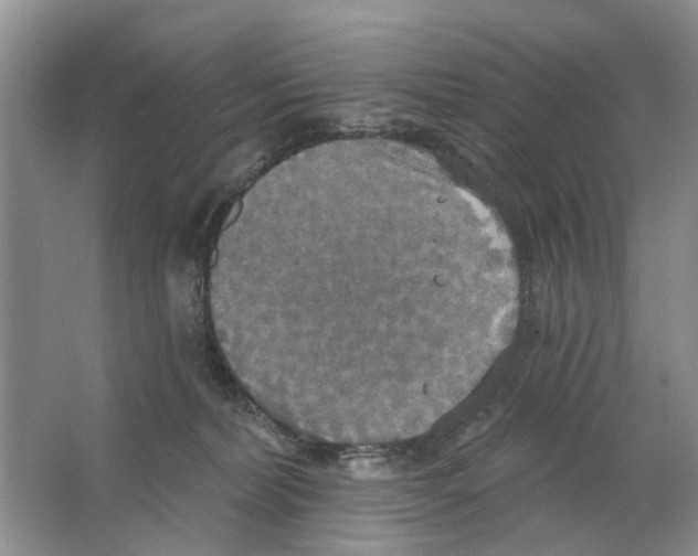 X0000063510228200602172155