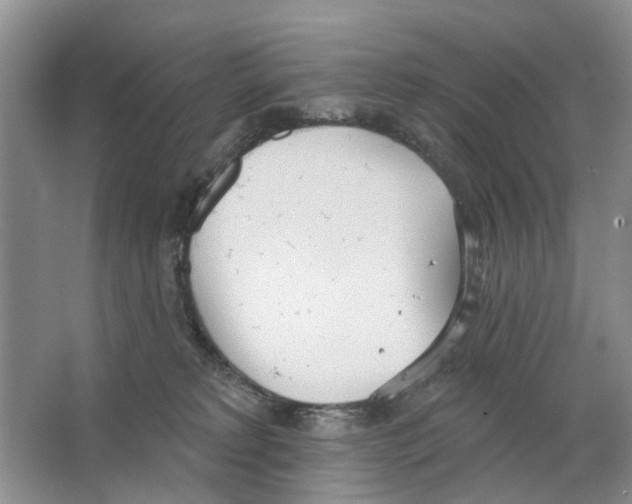 X0000063510229200602172155