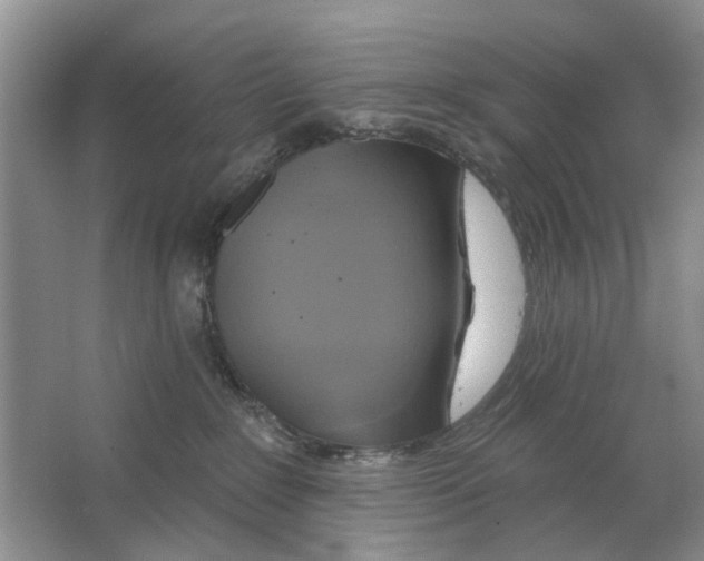 X0000063510235200602172155