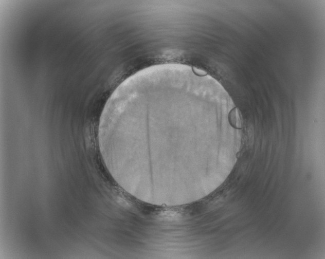 X0000063510236200602172155