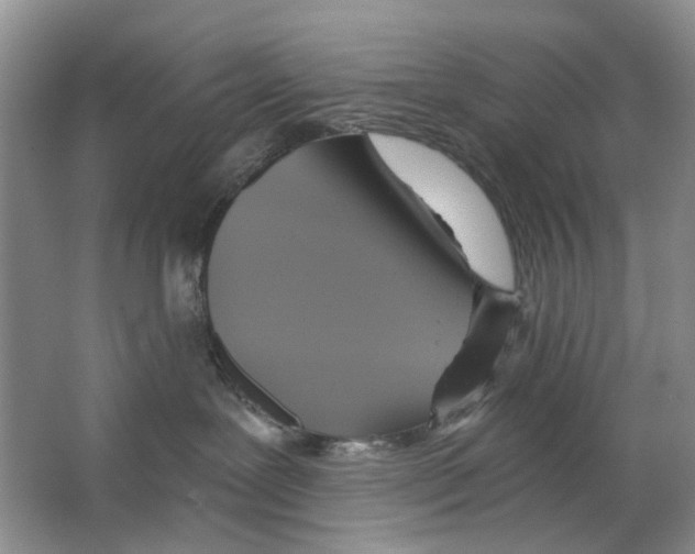 X0000063510239200602172155