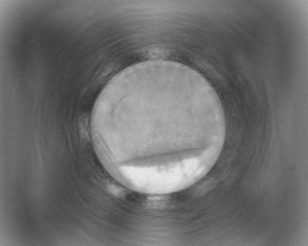 X0000063510240200602172155