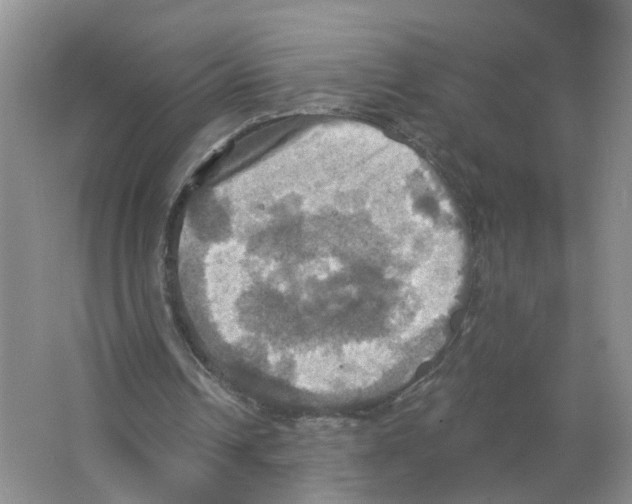 X0000063510242200602172154