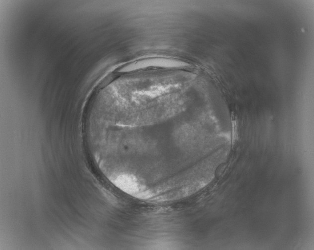 X0000063510243200602172154