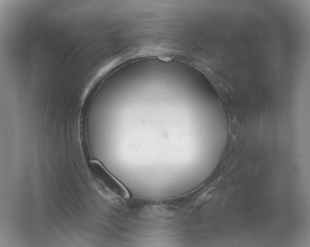 X0000063510244200602172154