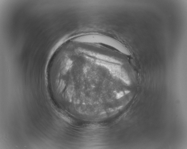 X0000063510246200602172154