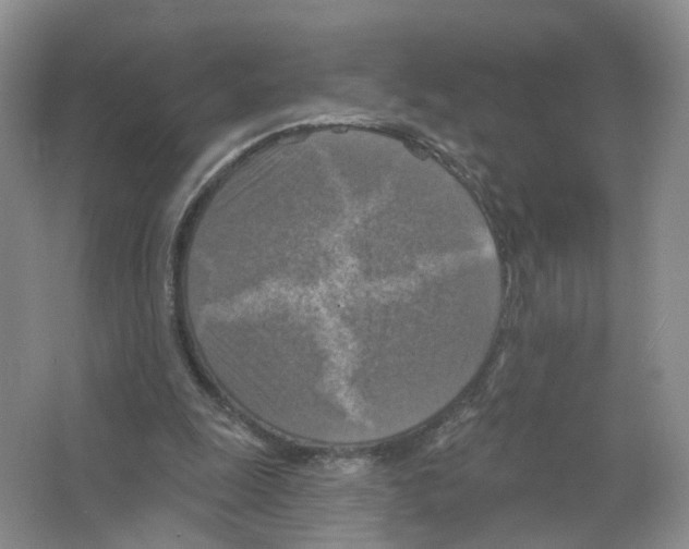 X0000063510247200602172154