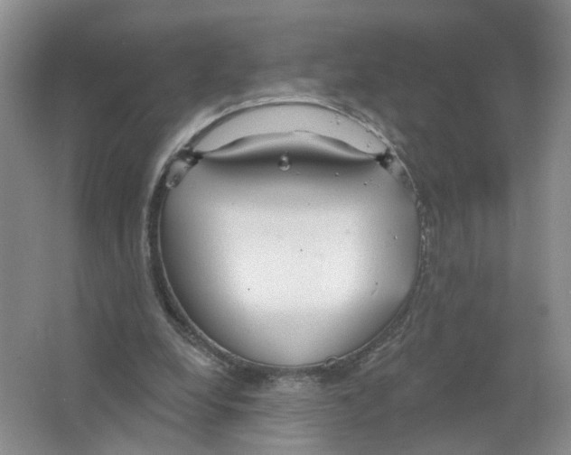 X0000063510248200602172154