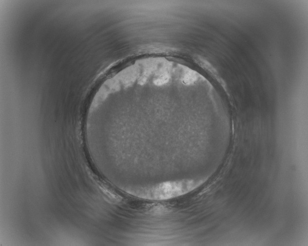 X0000063510249200602172154