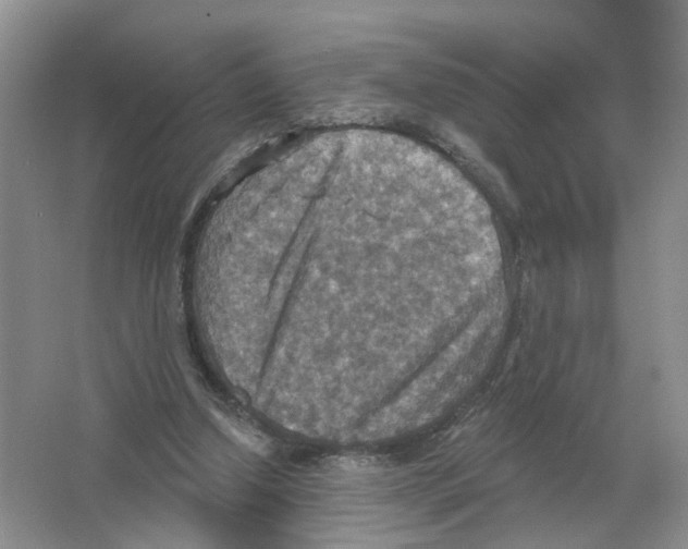 X0000063510250200602172154