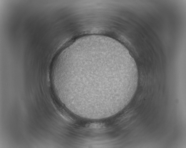 X0000063510251200602172154