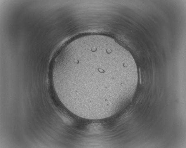 X0000063510252200602172154