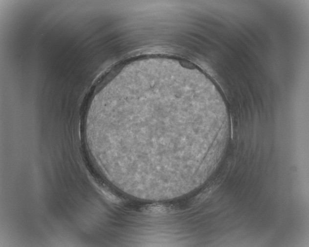 X0000063510253200602172154