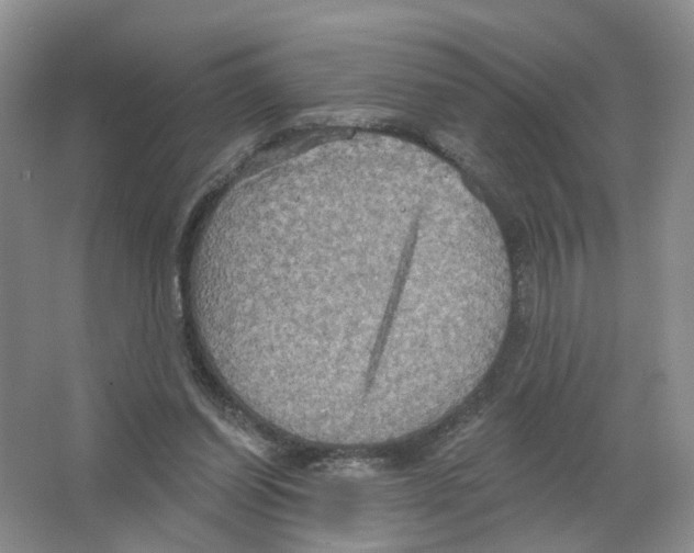 X0000063510254200602172154