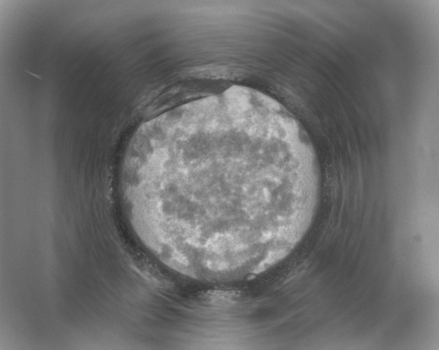 X0000063510255200602172154