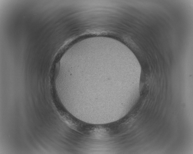 X0000063510256200602172154