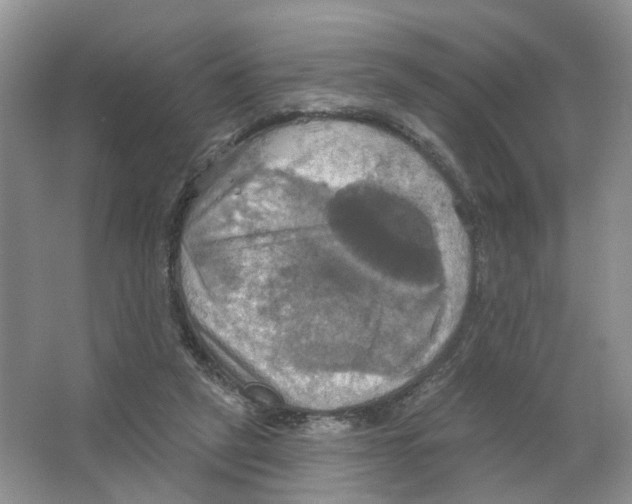 X0000063510257200602172154