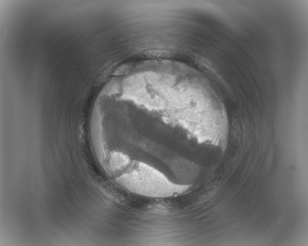 X0000063510259200602172154