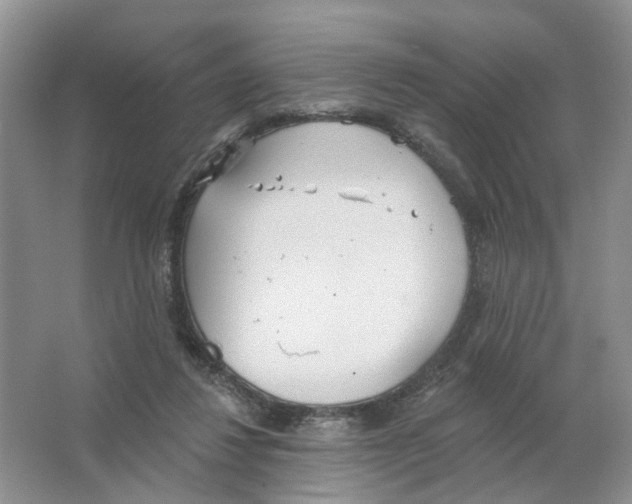 X0000063510260200602172154