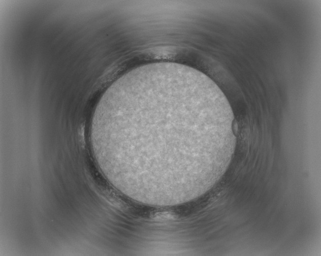 X0000063510262200602172154