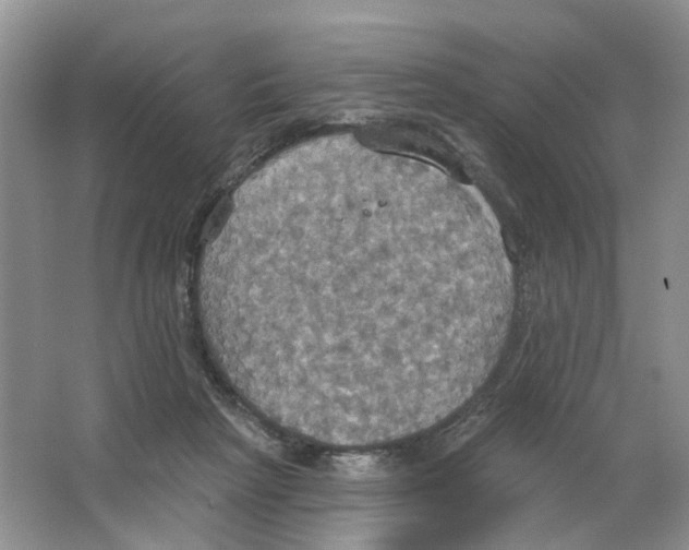 X0000063510265200602172154