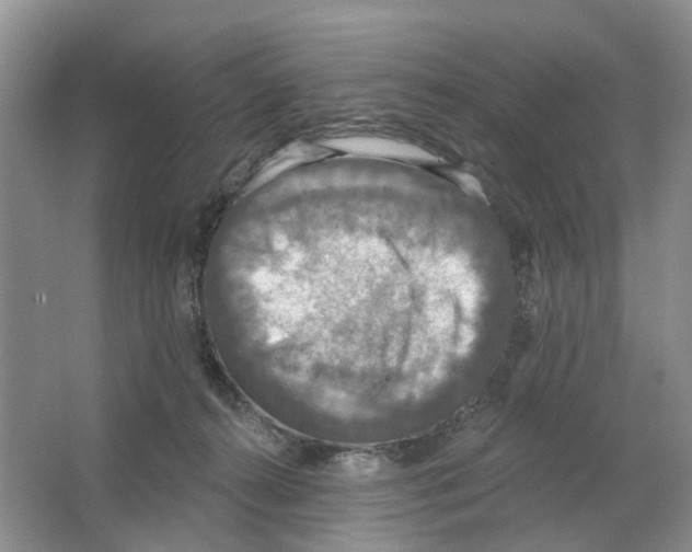 X0000063510272200602172155