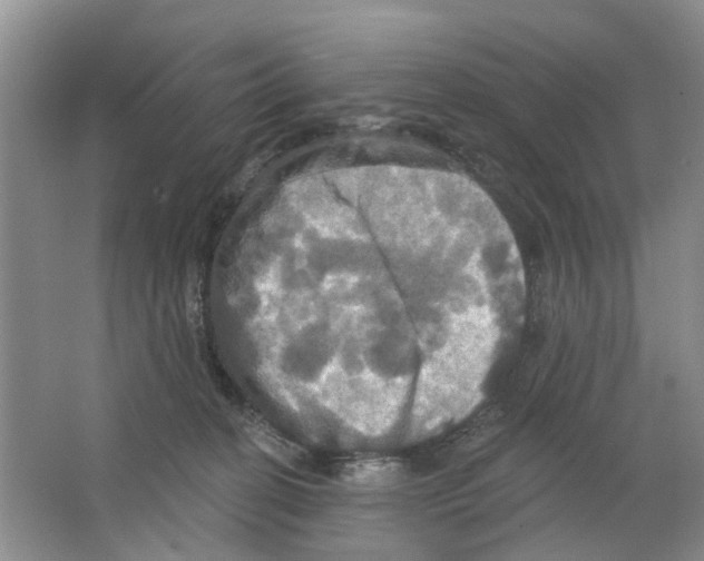 X0000063510274200602172155