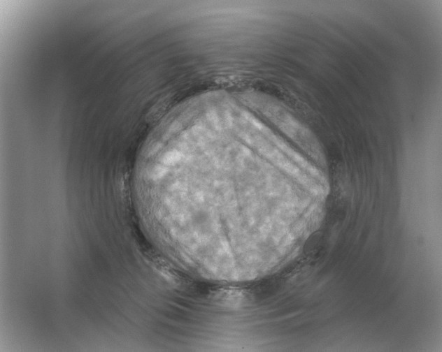 X0000063510276200602172155