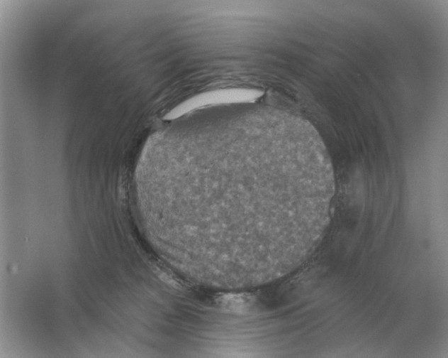 X0000063510277200602172155