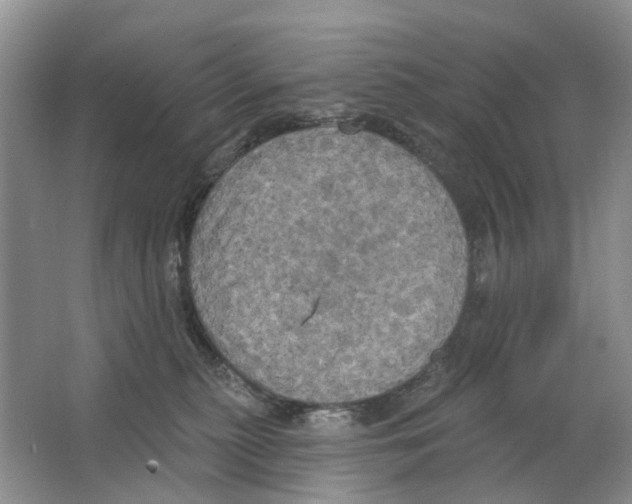 X0000063510279200602172155