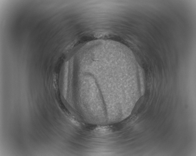 X0000063510280200602172155