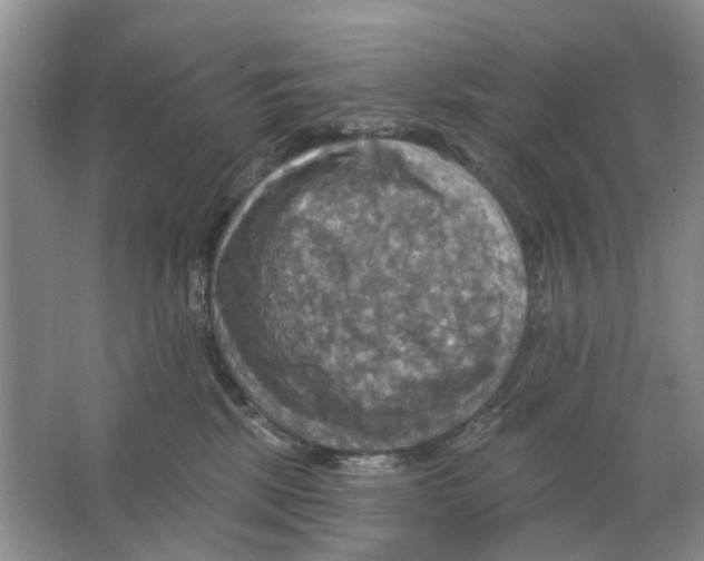 X0000063510281200602172155