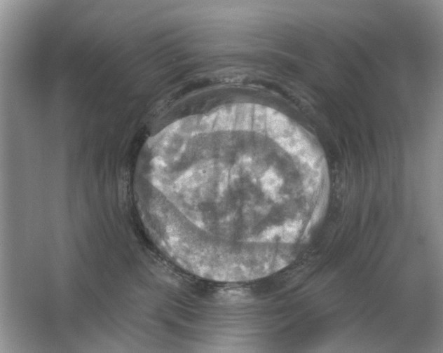 X0000063510283200602172155