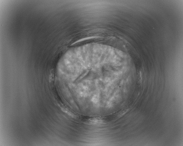 X0000063510284200602172155