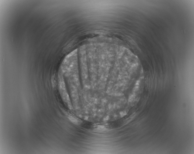 X0000063510285200602172155