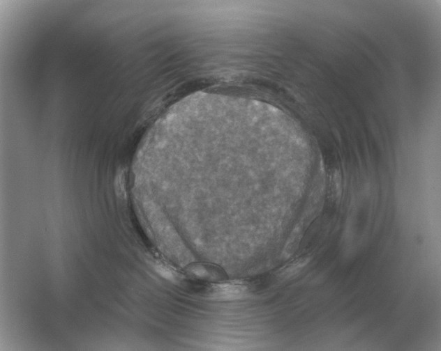 X0000063510286200602172155