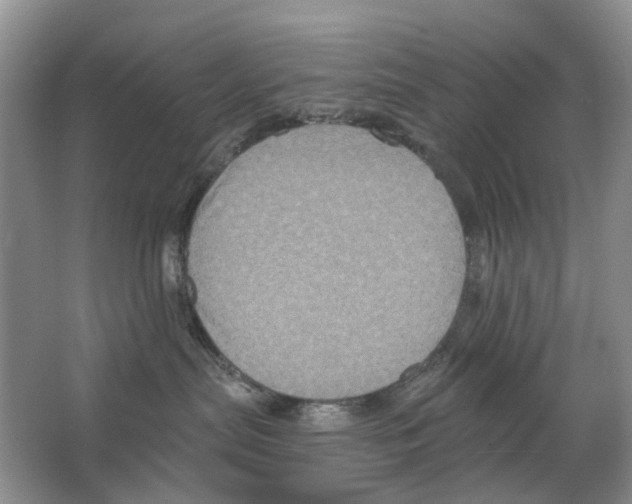 X0000063510287200602172155