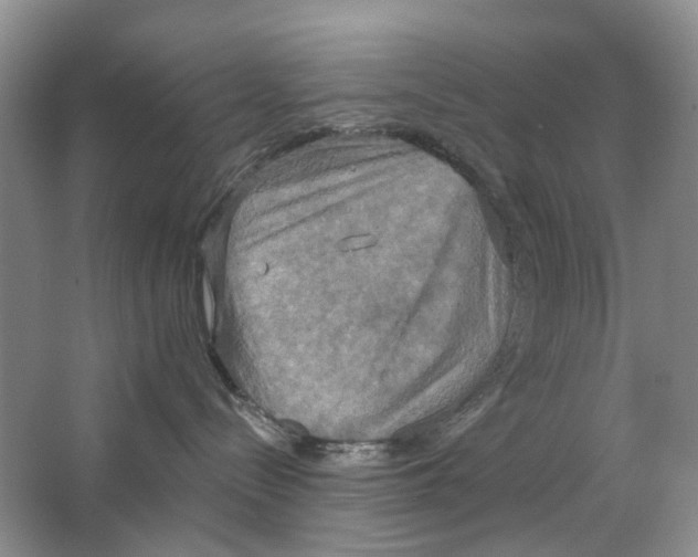 X0000063510288200602172155