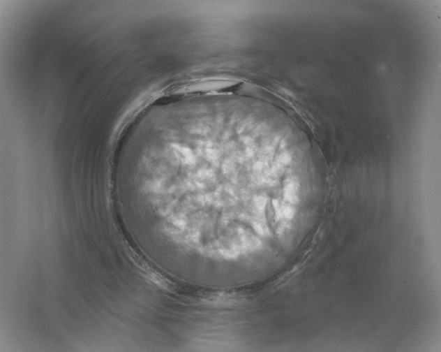 X0000063510293200602172154